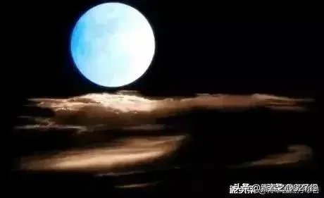 桑德斯退选意味着什么?