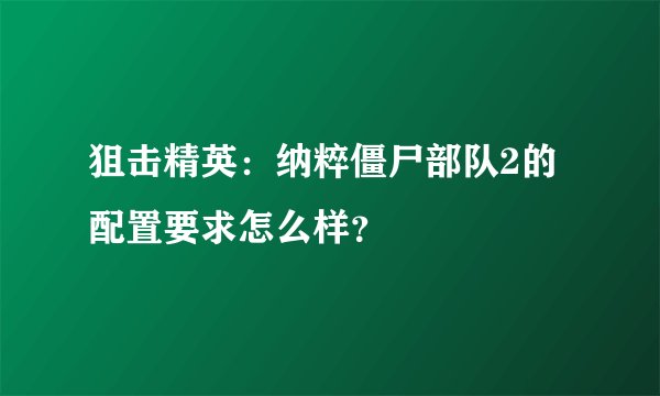 狙击精英：纳粹僵尸部队2的配置要求怎么样？