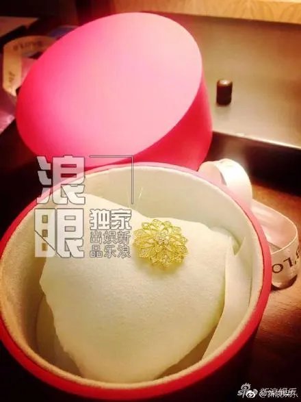 付辛博明显不喜欢颖儿为什么还要娶她 颖儿为什么选择嫁给付辛博