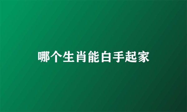 哪个生肖能白手起家