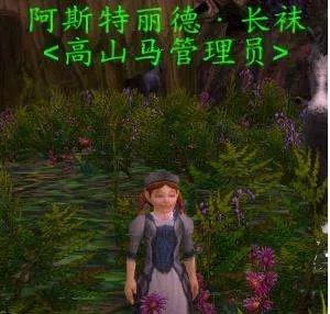 WOW 狼人的坐骑在哪里买？