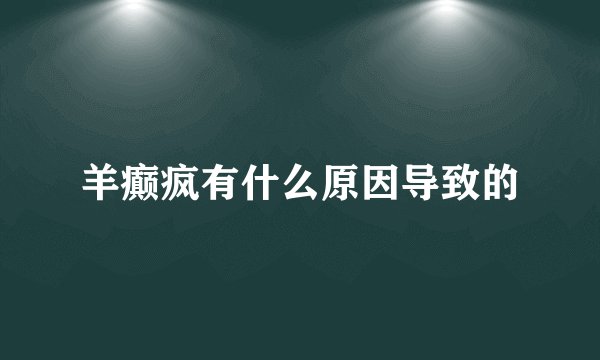 羊癫疯有什么原因导致的