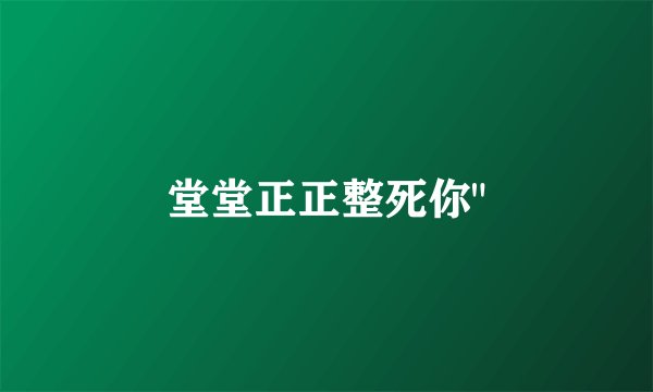 堂堂正正整死你