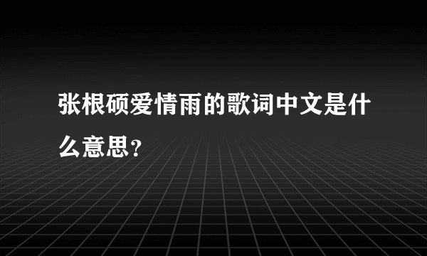 张根硕爱情雨的歌词中文是什么意思？