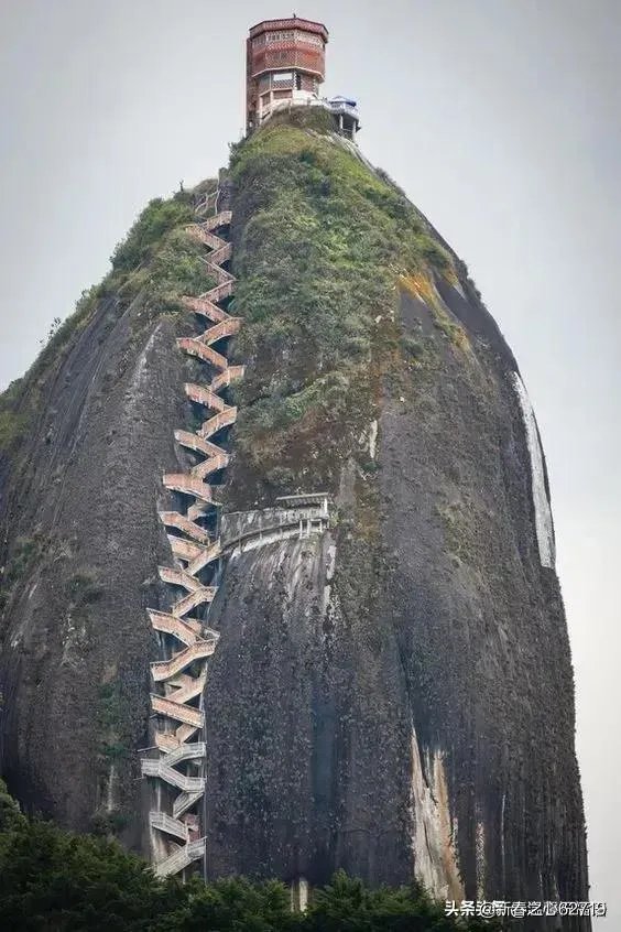 桑德斯退选意味着什么?