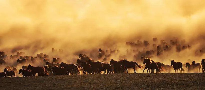 驰骋的拼音是什么