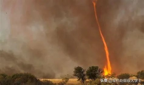 澳大利亚为啥火灾?