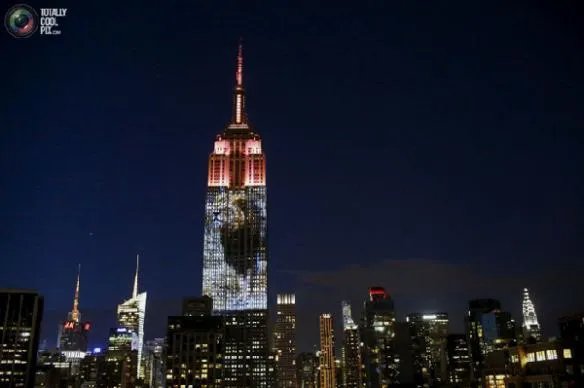 狮语者:花16年与狮子交谈 如今送走自己最爱的狮子王