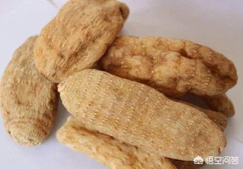 人工栽培天麻有哪些技术要求？人工的有哪些特点？