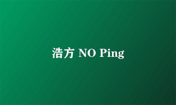 浩方 NO Ping