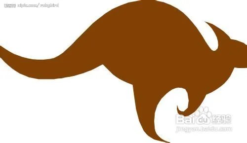 为何要买原装进口袋鼠精，原装进口袋鼠精好在哪