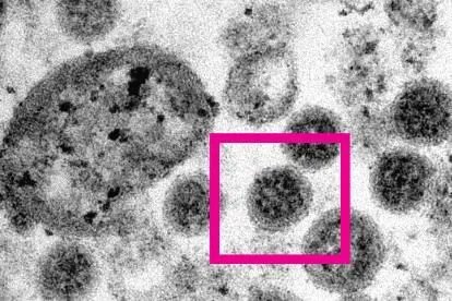 奥密克戎R0值是多少