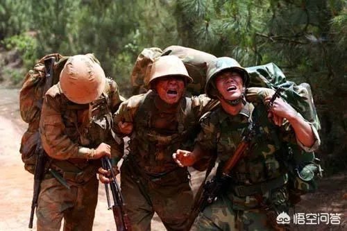 有哪些令人百看不厌的电影或者电视剧？