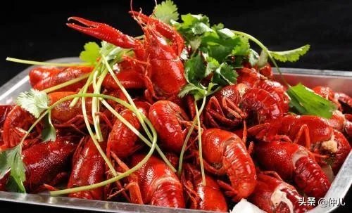 怎样才能吃到最优质的小龙虾？