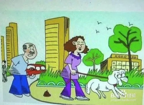 杭州狗主人被刑拘，日常遛狗需要注意什么？