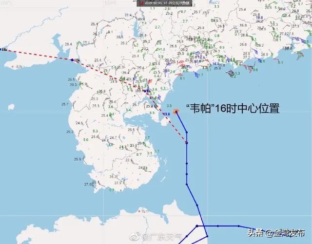 请问现在台风韦帕已经生成，关于这个台风你了解多少，又有什么想说的？