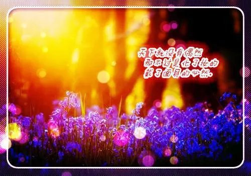 相思付东流小说(萧恒沈妙)全本阅读