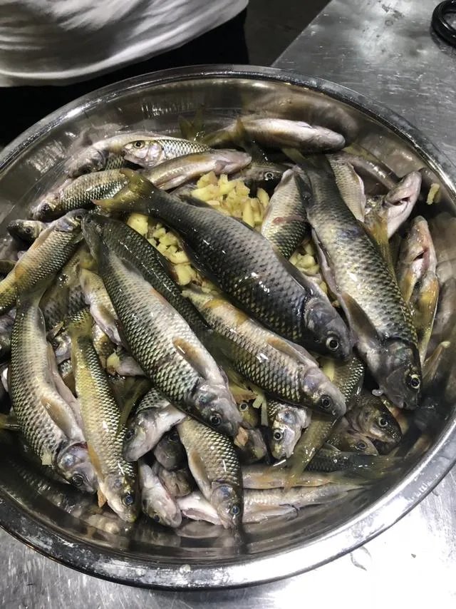 你喜欢钓鱼吗?你在钓鱼时遇到过什么奇闻吗?