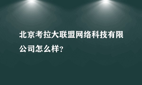 北京考拉大联盟网络科技有限公司怎么样？