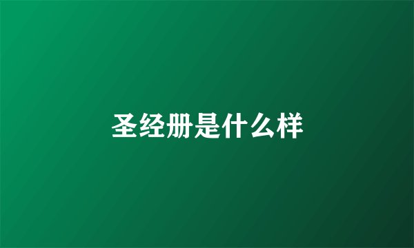 圣经册是什么样