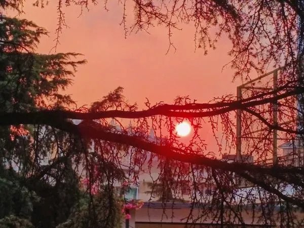 为什么有的大学生觉得疫情偷走了青春？