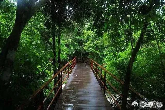 到底是南方冻雨的时候比较冷,还是北方下雪的时候比较冷?