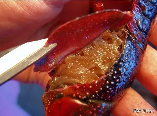 怎样才能吃到最优质的小龙虾？