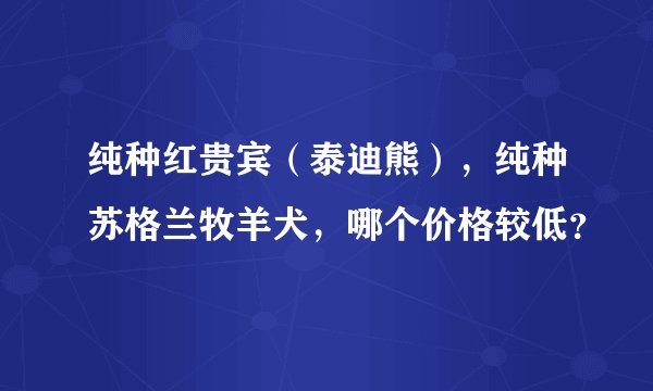 纯种红贵宾（泰迪熊），纯种苏格兰牧羊犬，哪个价格较低？