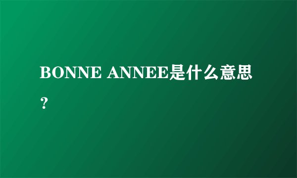 BONNE ANNEE是什么意思？