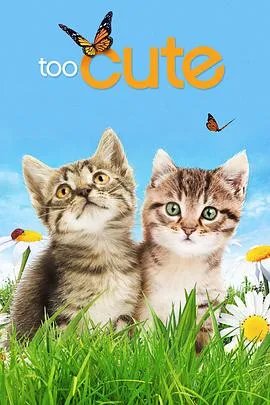 萌宠成长记全集高清下载