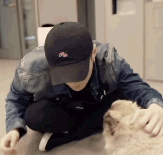 张艺兴倒立训狗：这画面怪不得都在羡慕狗狗了