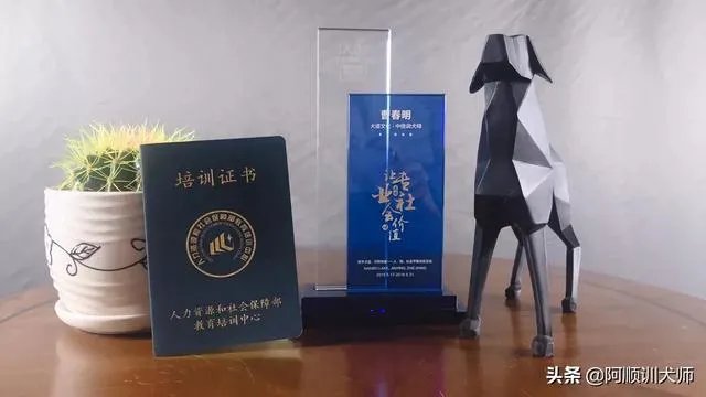 训狗师这个工作怎么样?