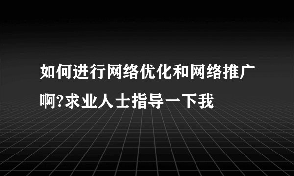 如何进行网络优化和网络推广啊?求业人士指导一下我