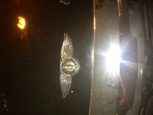 今天看见一辆车标志是一个飞马的标志是立体的，是什么车？