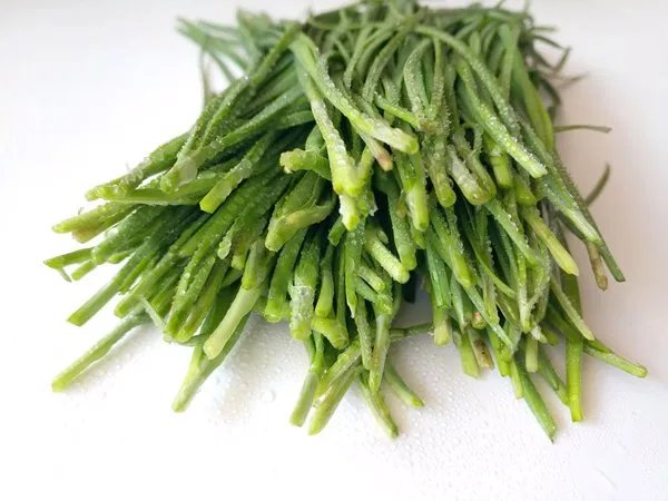 女生为什么爱吃韭菜