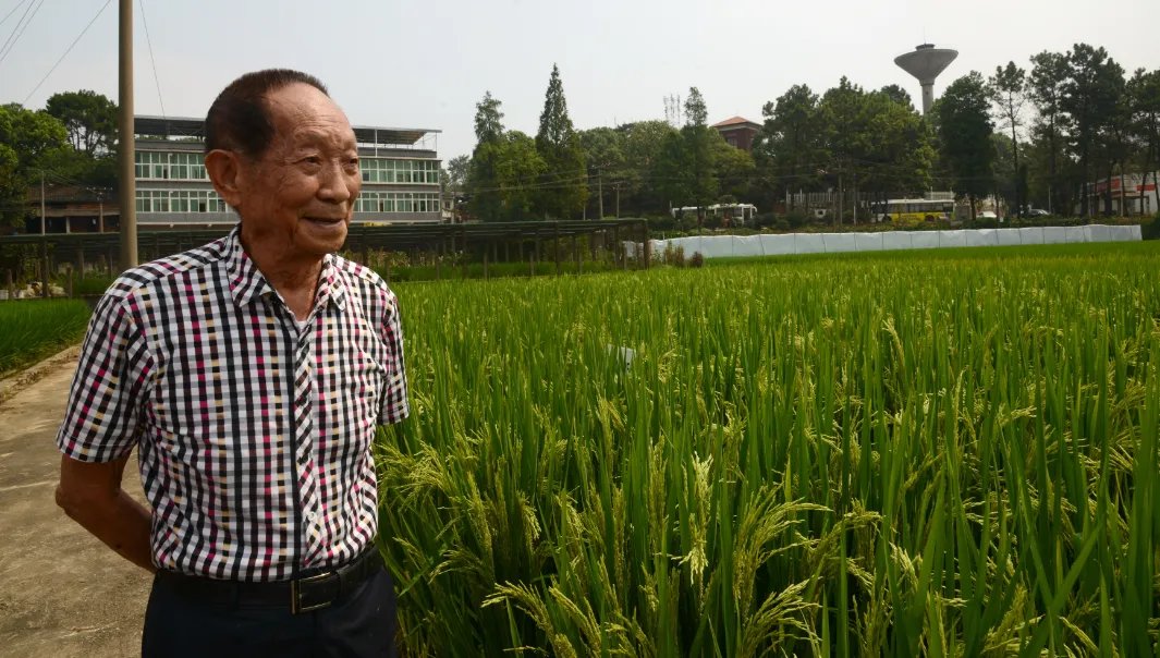 “国之脊梁”袁隆平院士逝世，集体呼吁降半旗悼念，你对此怎么看呢？