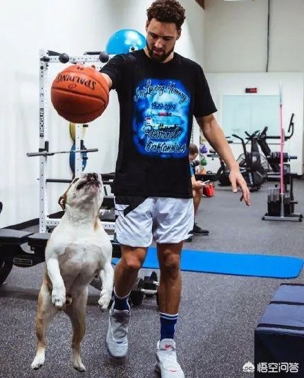 库里和克莱的伤势都怎么样了,什么时候可以打比赛?