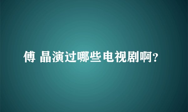 傅 晶演过哪些电视剧啊？
