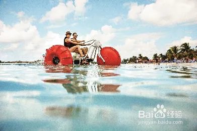 春节期间,有哪些性价比高的邮轮旅游?