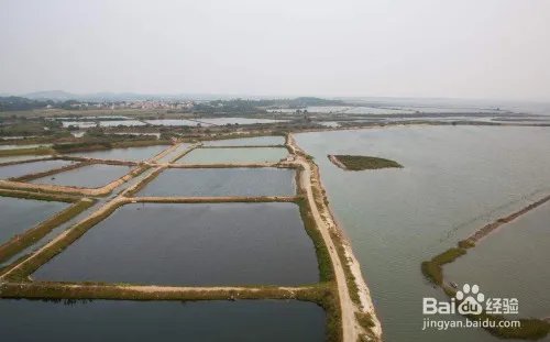 如何投资海产品养殖