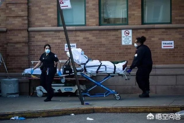 桑德斯退选意味着什么?