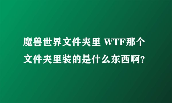 魔兽世界文件夹里 WTF那个文件夹里装的是什么东西啊？