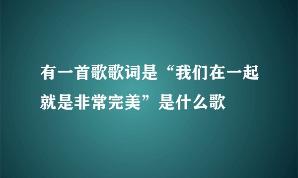 有一首歌歌词是“我们在一起就是非常完美”是什么歌