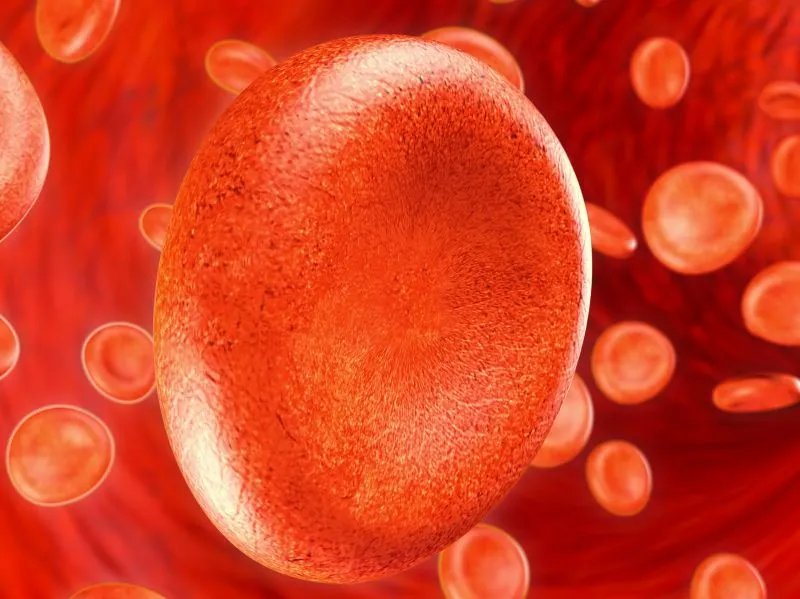 为什么体内会抽出牛奶血