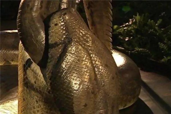 蟒蛇电影十大排行榜 好看的蟒蛇电影有哪些