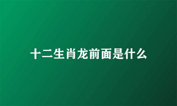 十二生肖龙前面是什么