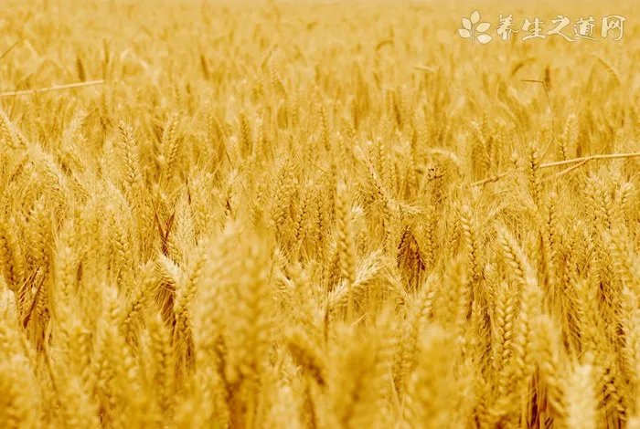 咸腊八粥的来历_为什么要吃腊八粥