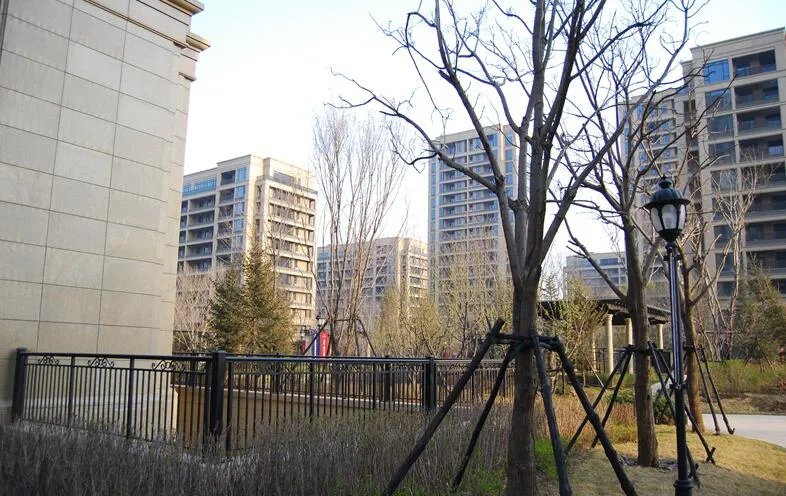 沈阳房子限购吗