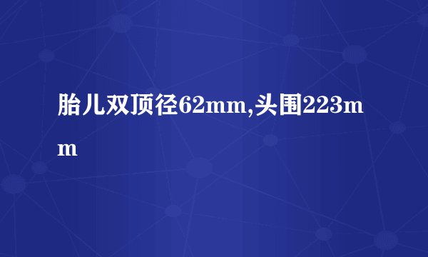 胎儿双顶径62mm,头围223mm