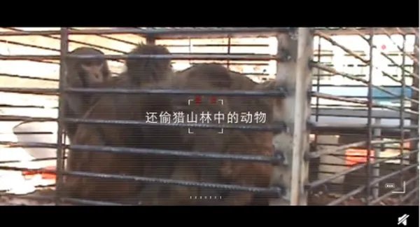 丁真和检察官拍了支公益宣传片，这支宣传片体现了哪些内容？